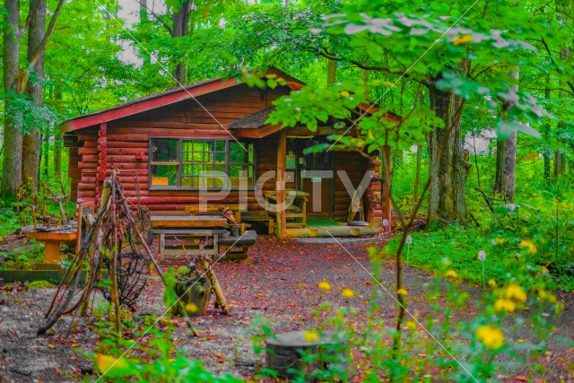 森の中の小屋