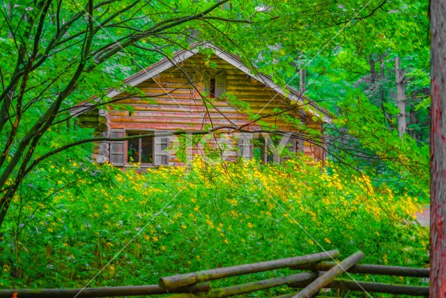 森の中の小屋
