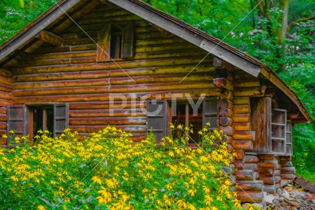 森の中の小屋