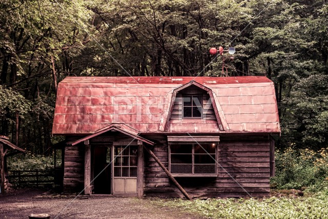 森の中の小屋