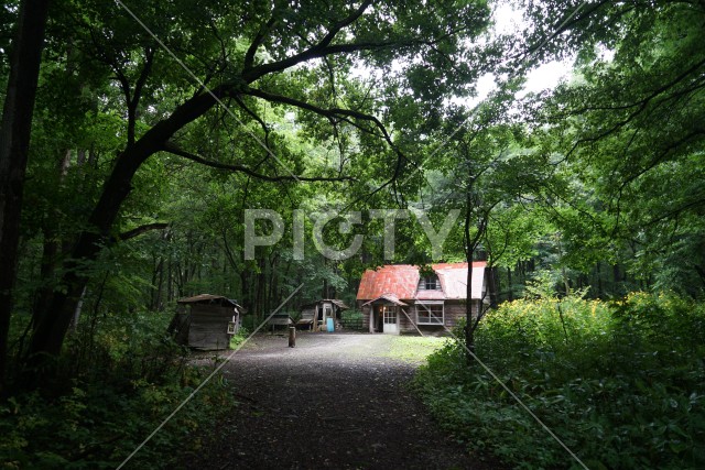森の中の小屋