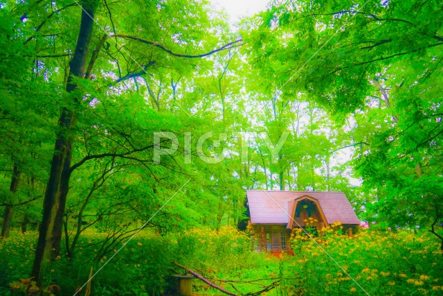 森の中の小屋