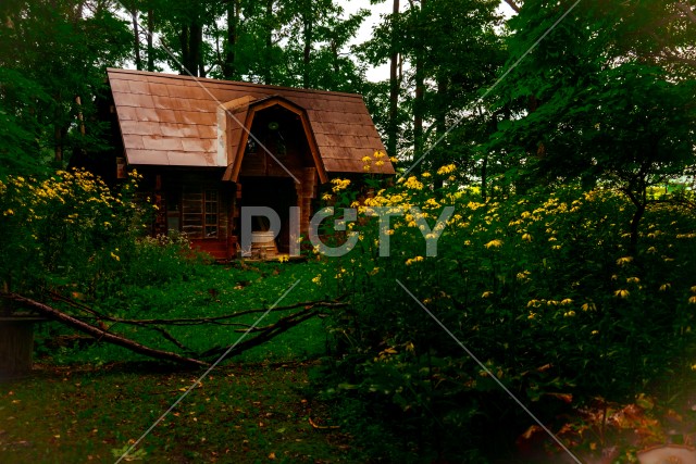 森の中の小屋