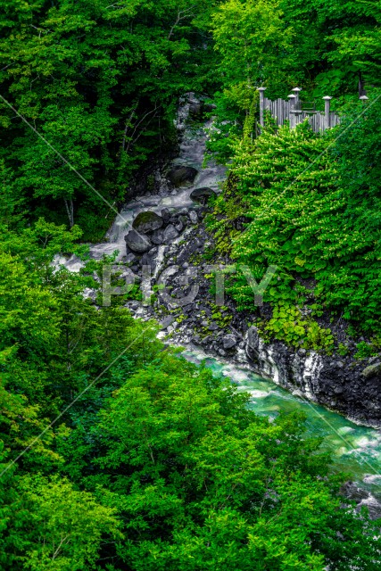 白ひげの滝（北海道美瑛町）