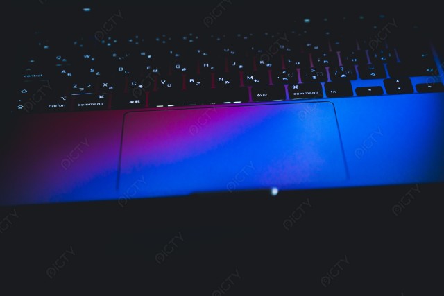 写真のタイトルが入ります