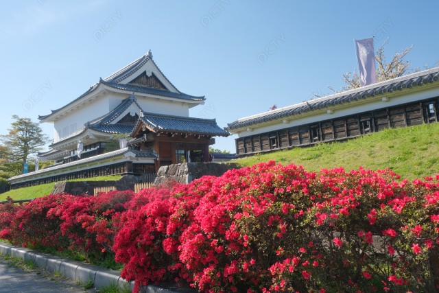写真のタイトルが入ります