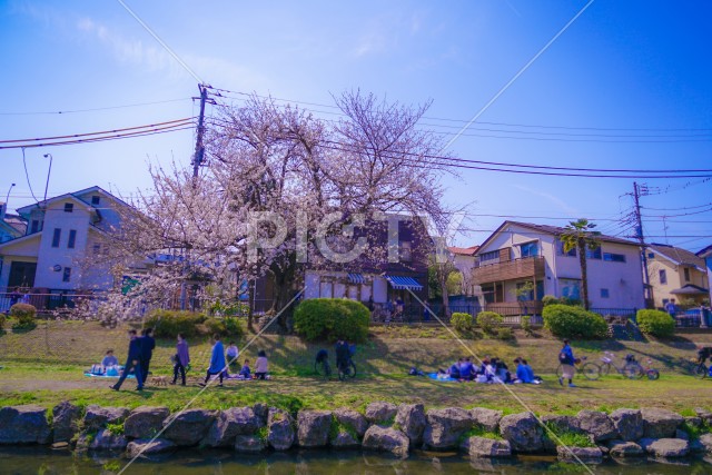 写真のタイトルが入ります
