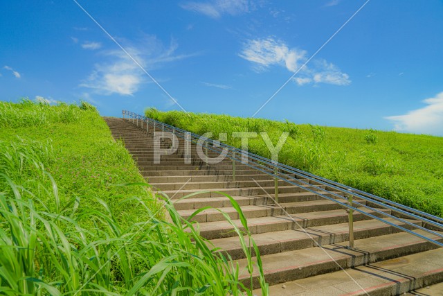 江戸川の河川敷（松戸市矢切）