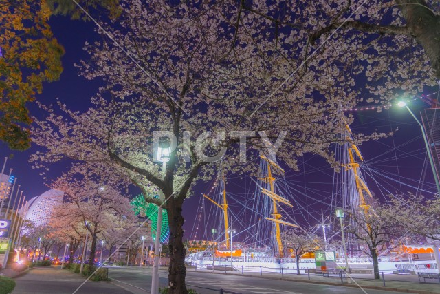 写真のタイトルが入ります