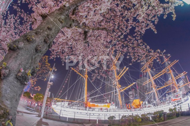 写真のタイトルが入ります