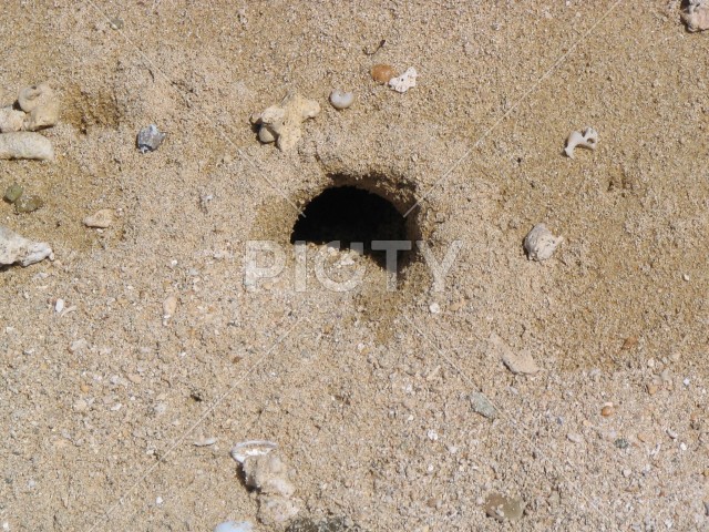 小浜島の白い砂浜の穴