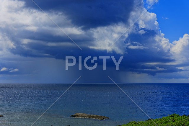 写真のタイトルが入ります