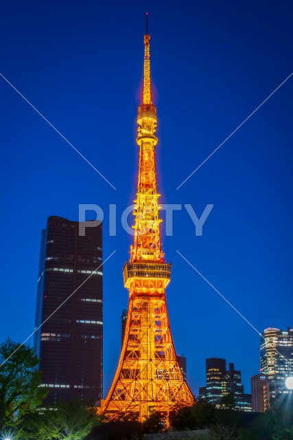 東京タワー