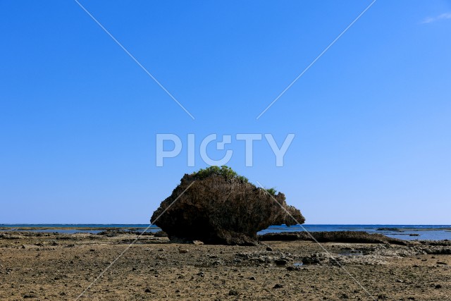 引き潮の海岸