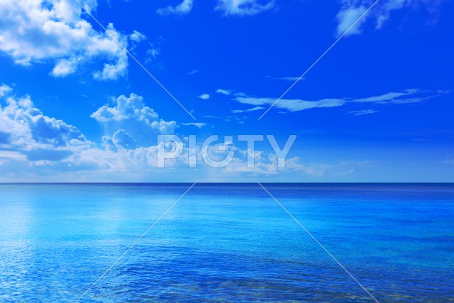沖縄の海