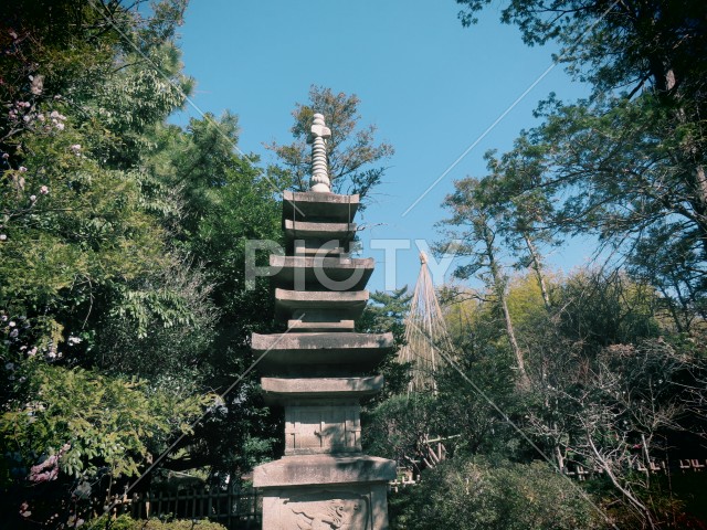 写真のタイトルが入ります