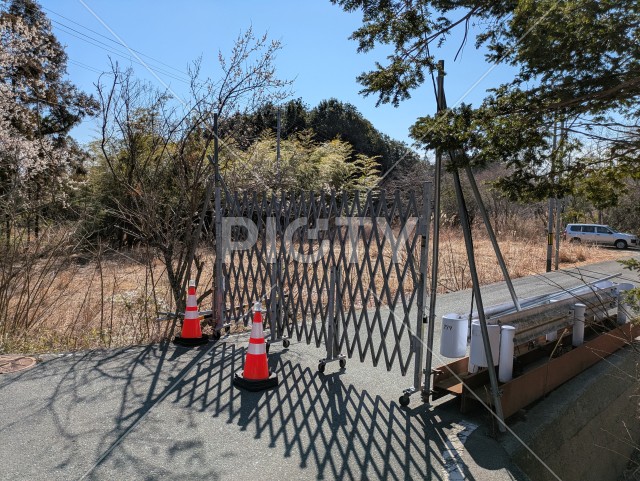 写真のタイトルが入ります