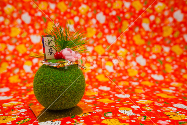 写真のタイトルが入ります