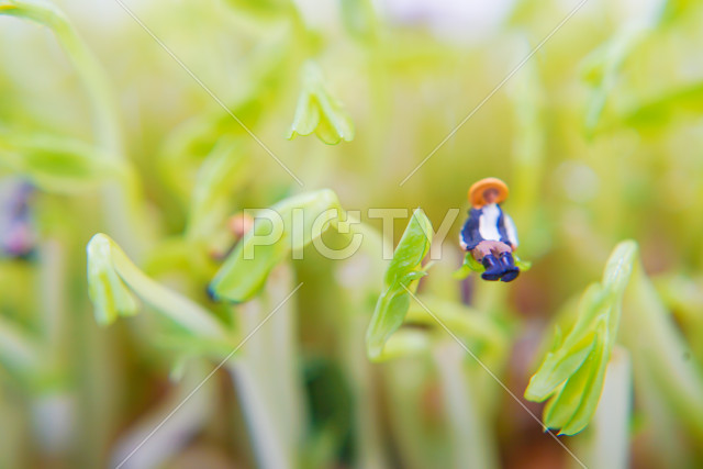 写真のタイトルが入ります