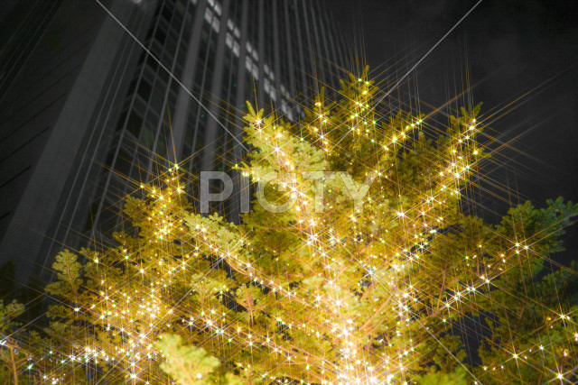 クリスマスイルミネーションのイメージ（クロスフィルター使用）