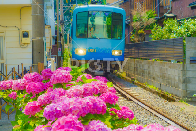 写真のタイトルが入ります