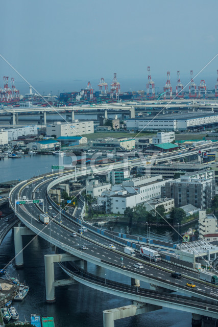 写真のタイトルが入ります