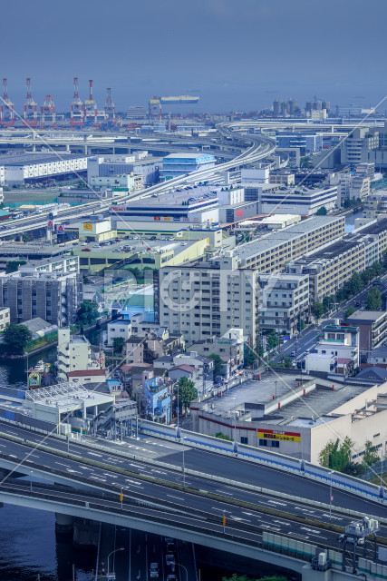 写真のタイトルが入ります