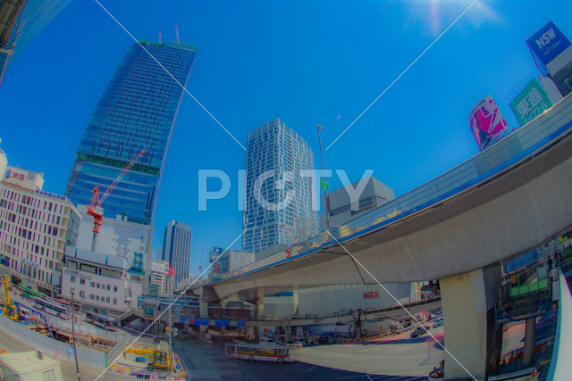 写真のタイトルが入ります