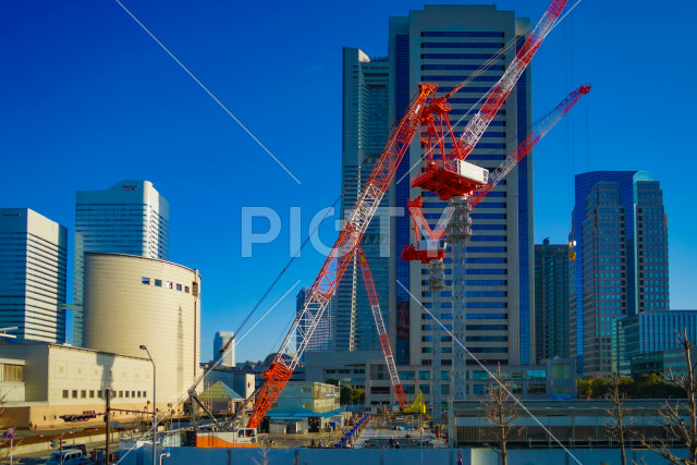 写真のタイトルが入ります