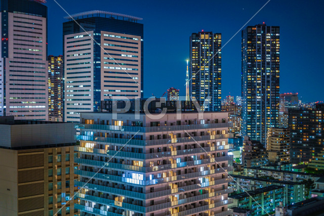 写真のタイトルが入ります