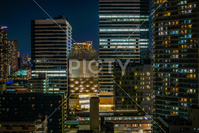 写真のタイトルが入ります