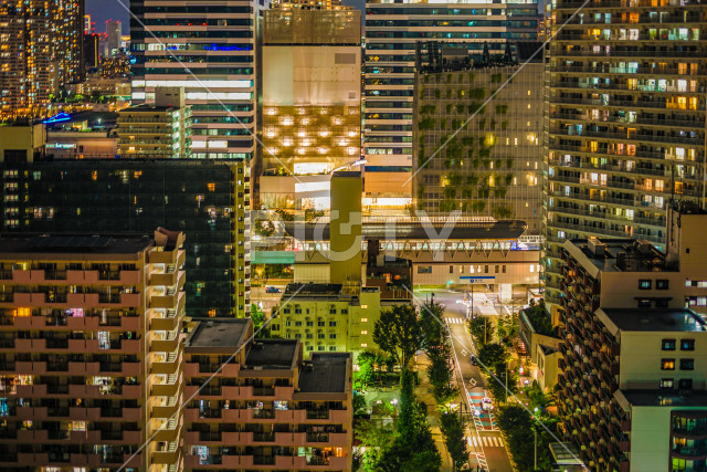 写真のタイトルが入ります