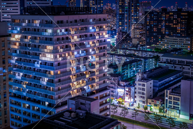 写真のタイトルが入ります