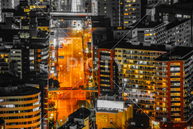 写真のタイトルが入ります
