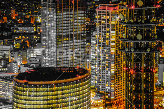 写真のタイトルが入ります