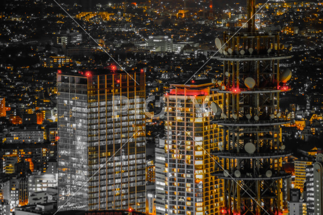 写真のタイトルが入ります