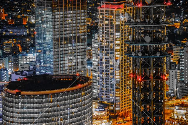 写真のタイトルが入ります