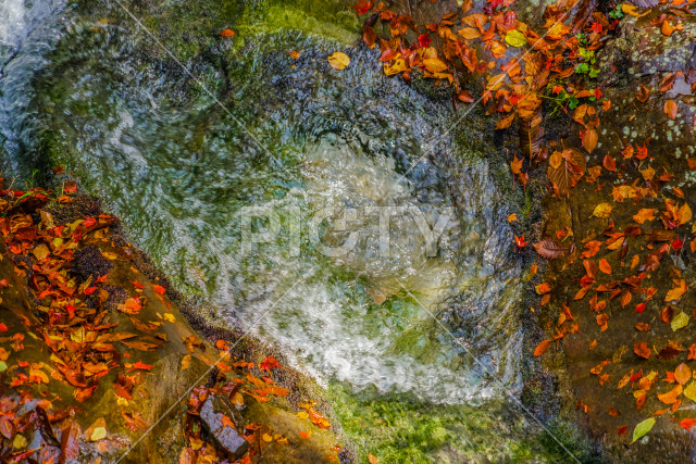 写真のタイトルが入ります