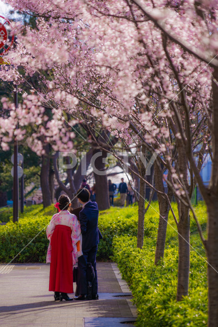 写真のタイトルが入ります