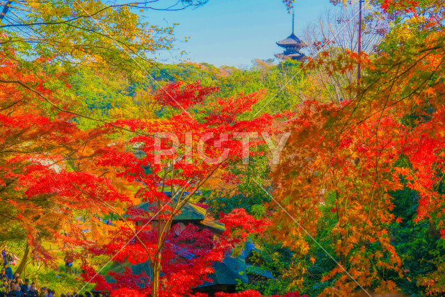 紅葉と五重塔のイメージ