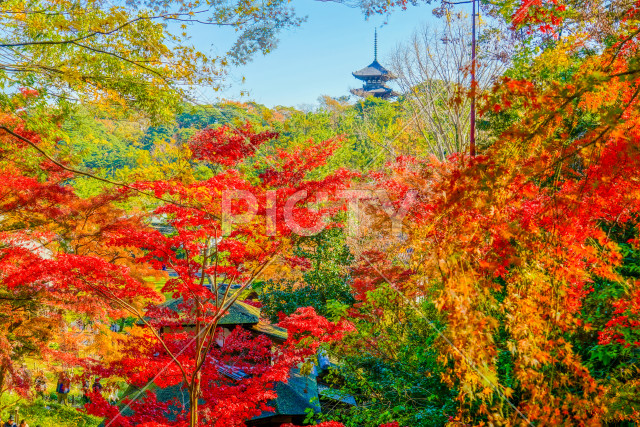 写真のタイトルが入ります