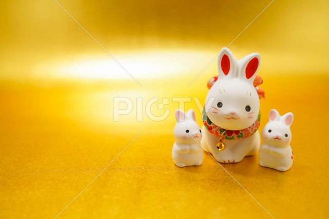 写真のタイトルが入ります