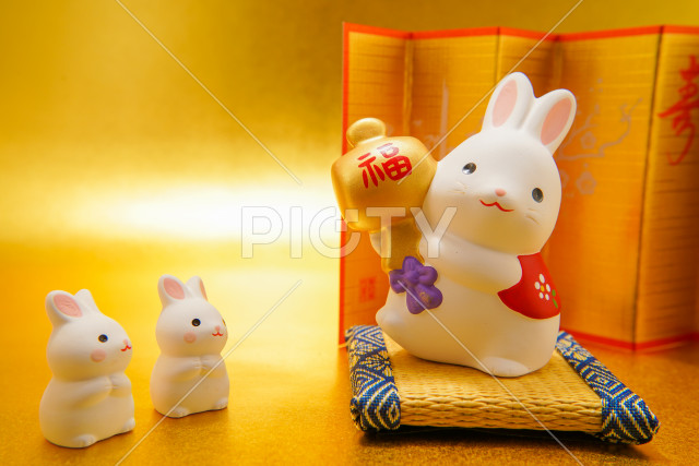 写真のタイトルが入ります