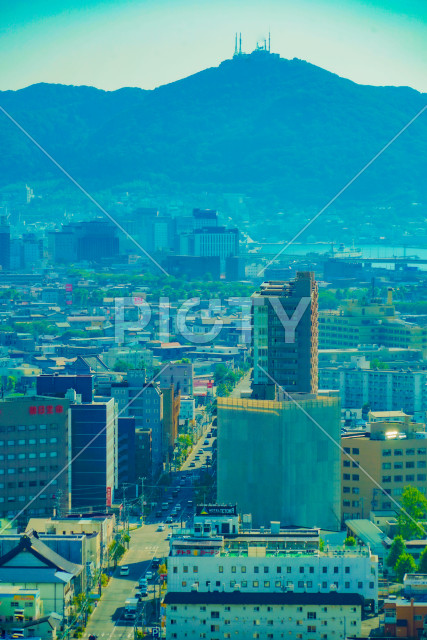 写真のタイトルが入ります