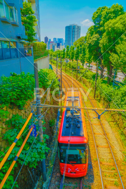 写真のタイトルが入ります