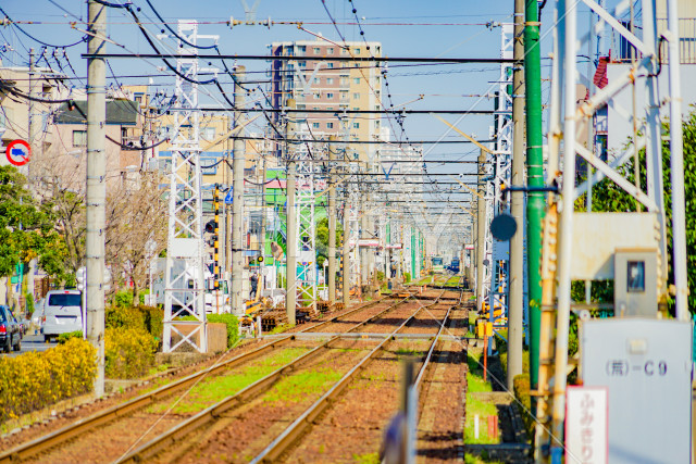 写真のタイトルが入ります