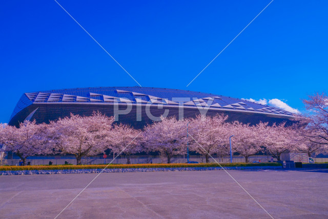 写真のタイトルが入ります