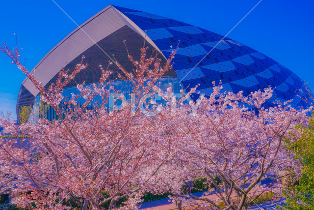 写真のタイトルが入ります