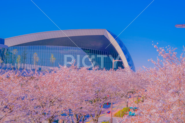 写真のタイトルが入ります