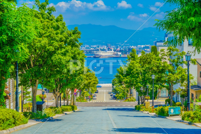 写真のタイトルが入ります